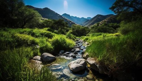 Tranquil meadow reflects beauty in nature environment generated by AI photo