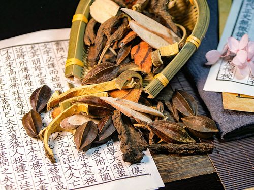 传统医学药材草药预防治疗疾病独特药物中草药神农百草春秋战国中医理论传承千年阴阳五行五运六气地道药材图片下载