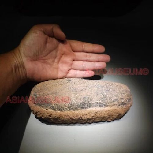 OVIRAPTOR RAPTOR Velociraptor Dinosaur Egg Fossil Theropod JURASSIC PARK WORLD w - Image 1 of 4