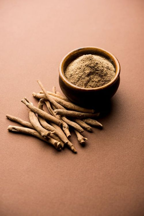 Photo ashwagandha or aswaganda or indian ginseng is an ayurveda medicine in stem and powder form. isolated on plain background. selective focus
