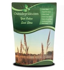 Outsidepride Perennial Andropogon Big Bluestem Grass Seed - 5 lbs. Warm Season, Drought Resistant, Native Prairie Grass Seed, Ideal for Erosion Control, Ornamental Landscaping & Wildlife Gardens