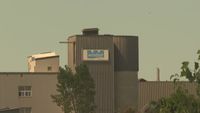 Windsor, Ont., mine producing road salt idles operations, dozens laid off due to warm weather | CBC News