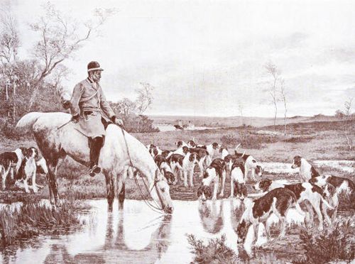 antique image from french magazine - fox hunt stock illustrations