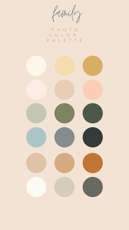 the color palette is shown with different colors