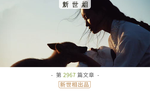 对一头狼来说，重返狼群是最好的结局