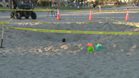 New details released about Indiana siblings' deadly beach incident in South Florida