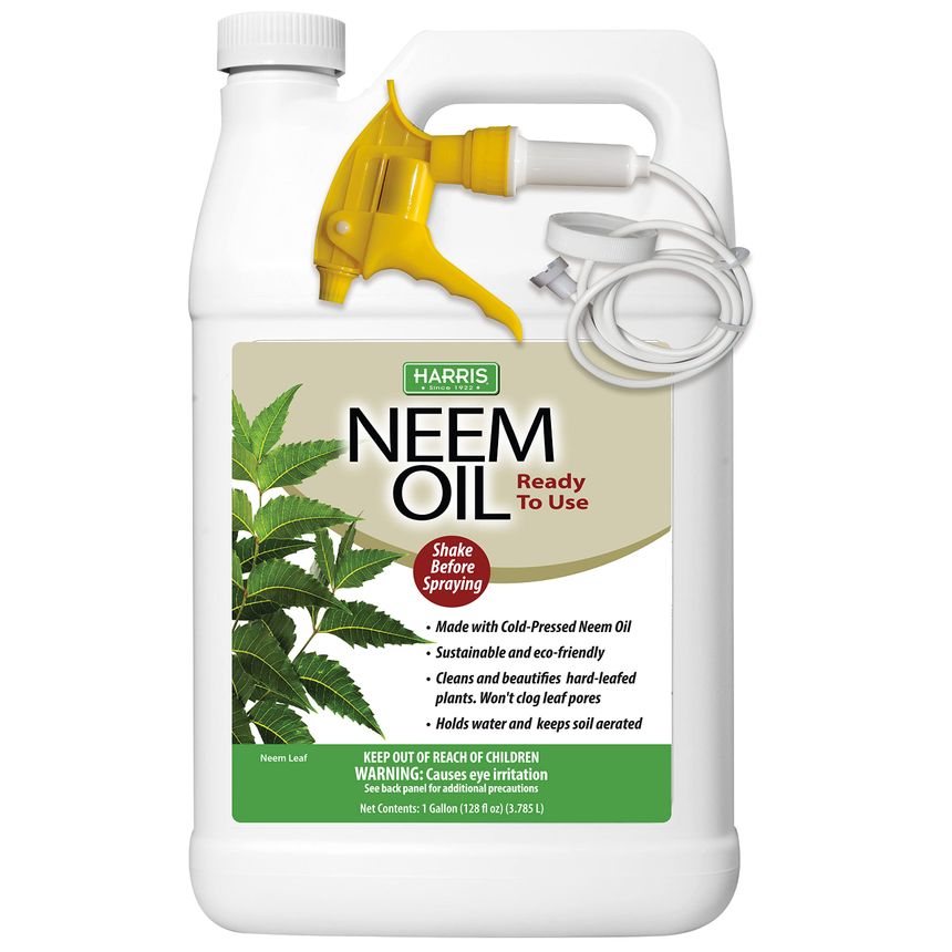 Biodegradable Pesticide (Neem-Based)