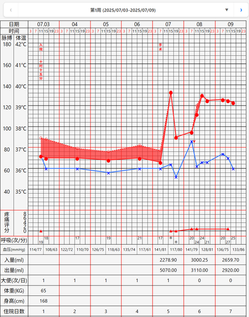 Claude code实现的体温单