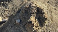 A high school teacher stumbled across two giant footprints — and marked a first for science - CNN