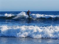 California Surf Tournaments