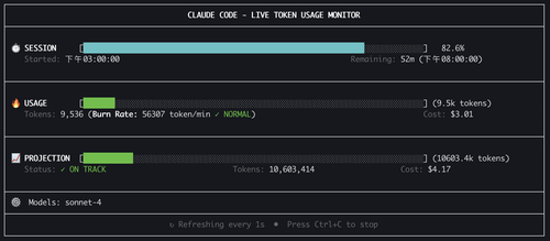 ccusage monthly report