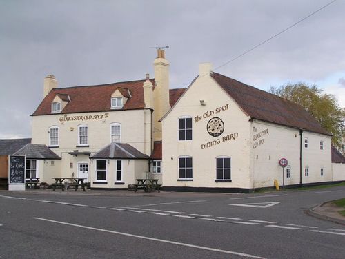 Gloucester Old Spot