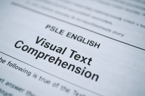 Close-up of PSLE English visual text comprehension section on exam paper for Primary 6 students.