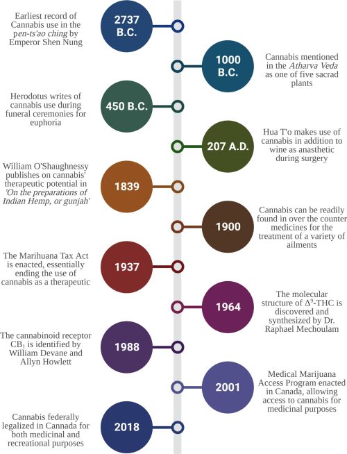 timeline of cultural and medical milestones in cannabis