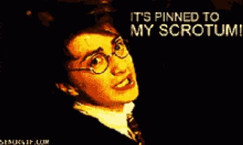Funny Harry Potter Pinned To His Scrotum GIF