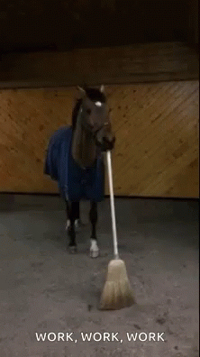 Horse Sweeping GIF - Horse Sweeping Working - Discover & Share GIFs Sweeping Broom, Clean House, Cool Gifs, Horses, Cleaning, Discover, Podge, Quick, Home Cleaning