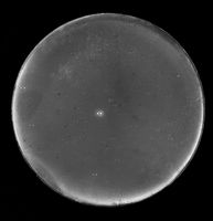Suns set on hunt for giant planets in nearby binary system - Phys.org