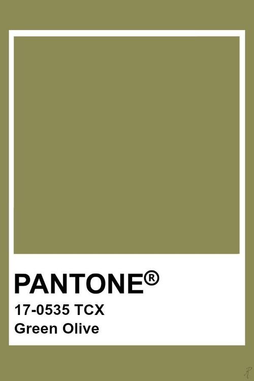 the pantone green olive color is shown