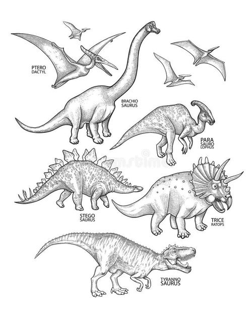 Graphic collection of dinosaurs isolated on white background. Animals of the prehistoric period drawn in engraving technique. Coloring book page design. Realistic dinosaur set vectors