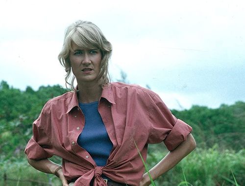 Laura Dern's outfit in the original Jurassic Park.