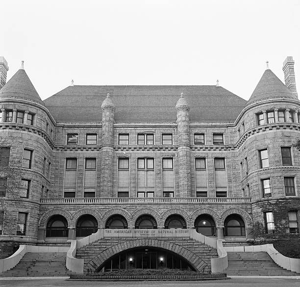 The American Museum of Natural History