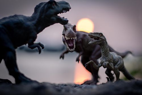 Free Toys Dinosaurs photo and picture