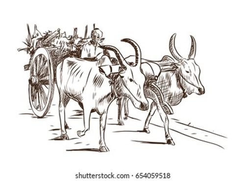 Hand drawn sketch of bullock cart in vector illustration. Stock Vector