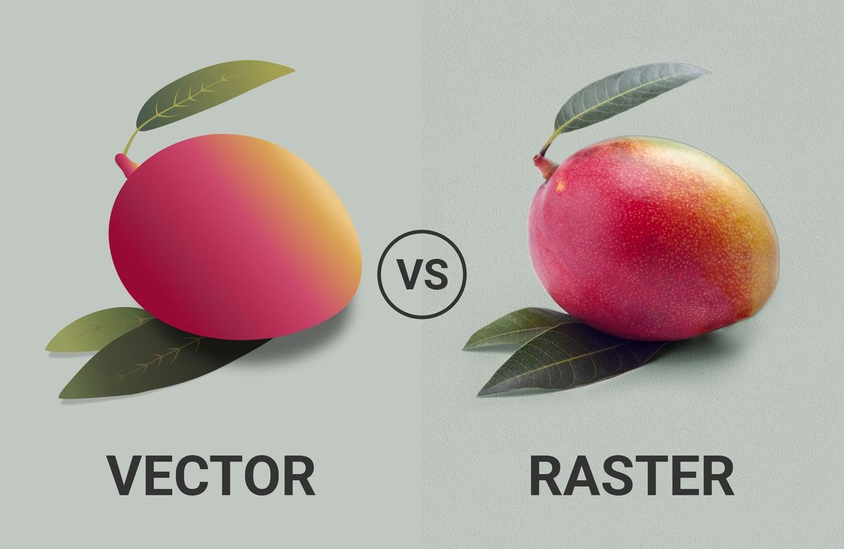 Vector vs Raster Graphics: What's the Difference? | Raster vs vector, Raster graphics, Raster