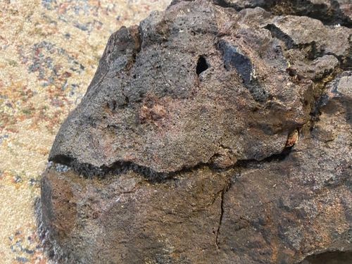 r/Paleontology - Dinosaur fossil? The head looks somewhat like a triceratops.