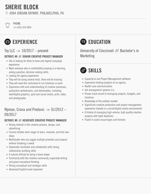 Creative Project Manager Resume Sample