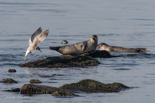 Gateway National Recreation Area
