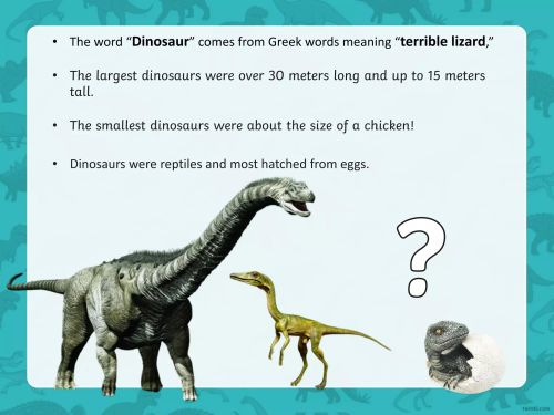 • The word “Dinosaur” comes from Greek words meaning “terrible lizard,”
• The largest dinosaurs were over 30 meters long and up to 15 meters
tall.
• The smallest dinosaurs were about the size of a chicken!
• Dinosaurs were reptiles and most hatched from eggs.