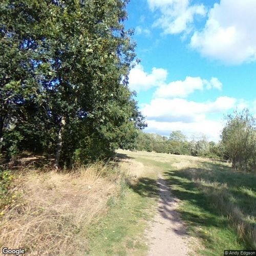 Thatcham Community Orchard