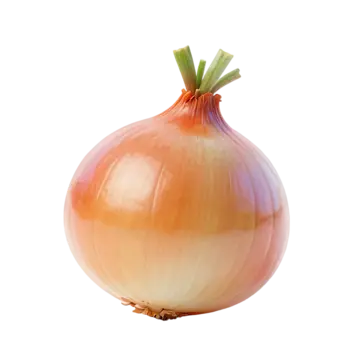 onion