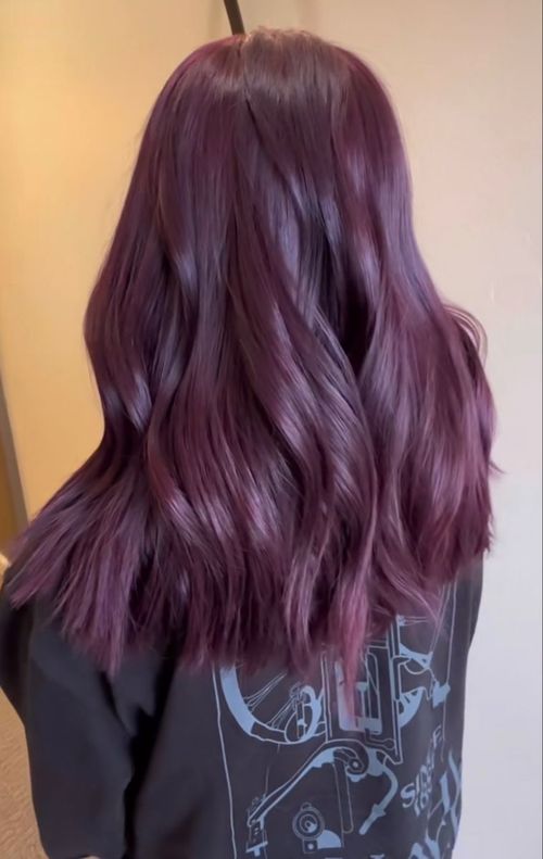 Grape Violet Hair Color, Wine Purple Hair, Grape Purple Hair, Hair Color Ideas Purple, Burgundy Hair Plum, Violet Brown Hair, Plum Brown Hair, Plum Purple Hair, Wine Hair Color