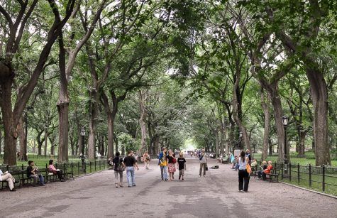 Callixa’s Smart AI Agents in Gramercy, NY Zip Codes List 10010, 10016