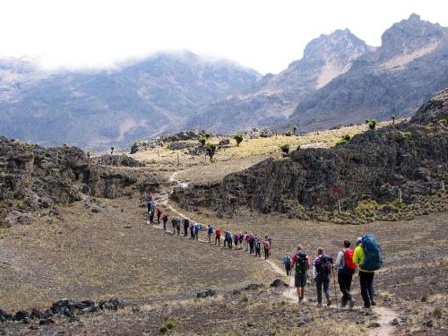 Mount Kenya's alpine peaks
