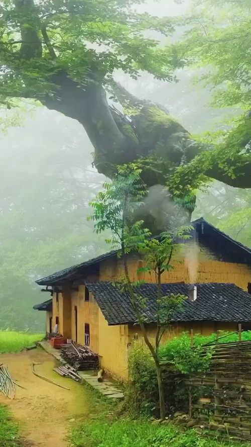 This contains an image of: Beautiful Nature 😍