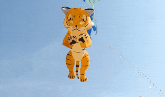 https://imgs.search.brave.com/HtNXKvdUDyR_dL29BGcNCjDjKm-RJic7l9FmqWXYe3Y/rs:fit:860:0:0:0/g:ce/aHR0cHM6Ly9tZWRp/YTQuZ2lwaHkuY29t/L21lZGlhL3YxLlky/bGtQVGM1TUdJM05q/RXhZWGRoTUhOM2Rq/WmtPRE0xY1cxM05H/UnlZbk5oZW5GM1oy/NW5kVzE0WkdvMmQy/MDRNbXBqY1NabGNE/MTJNVjluYVdaelgz/TmxZWEpqYUNaamRE/MW4vMjZCUnNJaDg1/UXg0QVRRSjIvMjAw/LmdpZg.gif