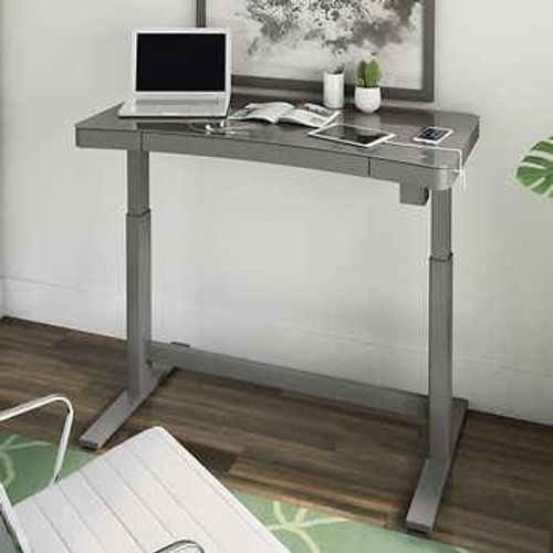 r/StandingDesk - Has anyone purchased the Tresanti standing desk from Costco?