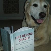 Life Beyond Grades – Designing Courses To Promote Intrinsic ...
