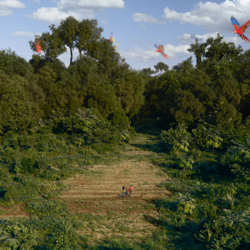 Becoming Nature Positive - the film - signature image