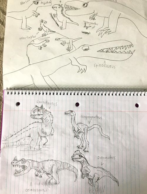 r/DinosaurDrawings - Elementary drawing v now