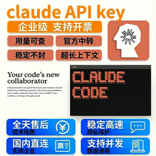 claude opus 4.6 api key中转ai跑数据可开票模型克劳德code谷歌