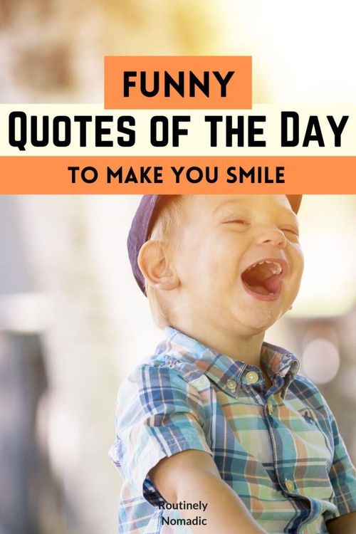 100 Short Funny Quotes of the Day to Add a Dose of Humor - Routinely Shares | Funny day quotes, Funny daily quotes, Funny good morning quotes