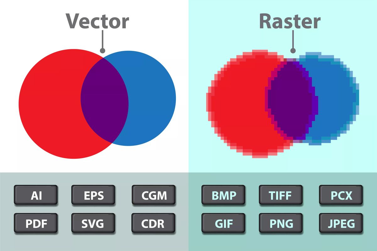 Which Graphic File Format is Best: Vector and Raster Images | Tell Your Tale Marketing & Design