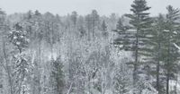 Thousands in Maine, New Hampshire and Vermont Without Power After Snowstorm - The New York Times