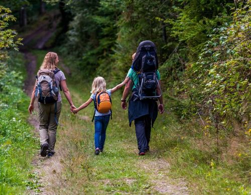 Waldpark am Feldberg