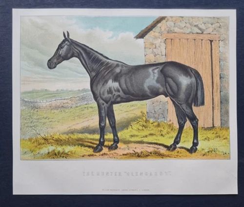Antique 1882 Equestrian Print - The Hunter Glengarry - Victorian Horse Engraving - Image 1 of 3