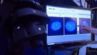 Scientists Untangle the Biology of an ‘Undruggable’ Cancer Gene - The New York Times